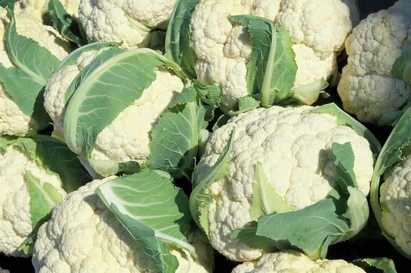Продукты для поджелудочной железы: как избежать панкреатита