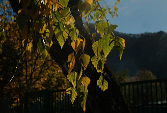 Вильфанд предупредил о похолодании до +20 градусов на Кубани