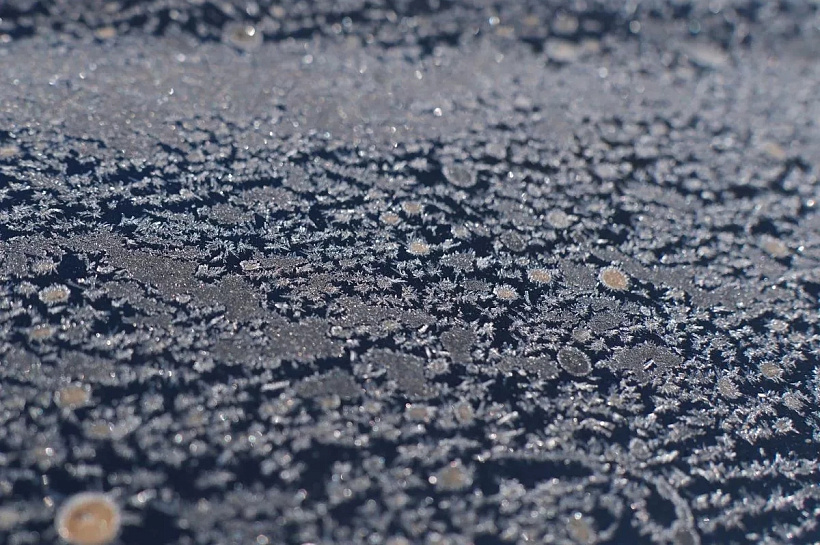 Ночные температуры в Краснодарском крае могут рухнуть до -5 градусов