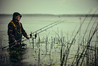 До сих пор вы искали карпов не там! 3 секретные зоны, где всегда клюет трофейный карп