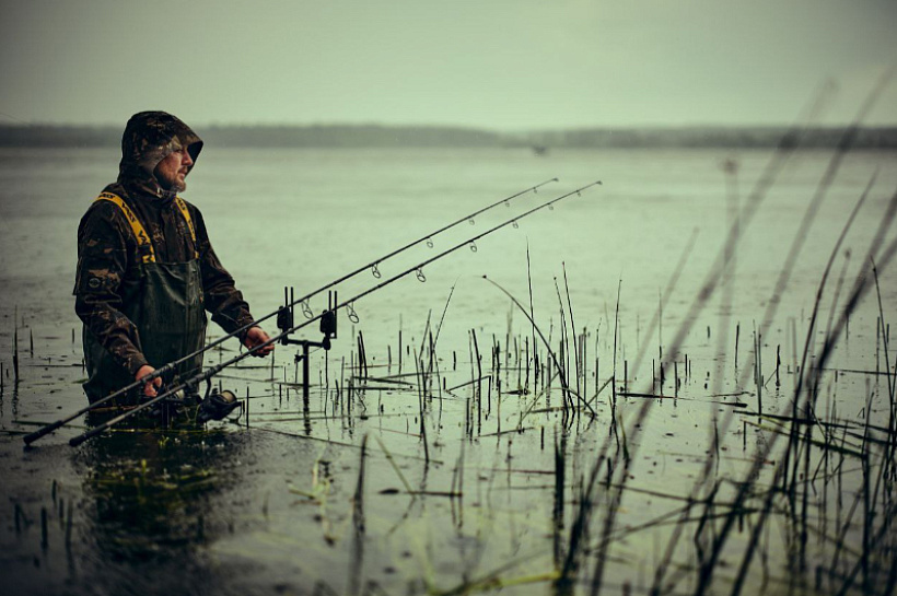 До сих пор вы искали карпов не там! 3 секретные зоны, где всегда клюет трофейный карп