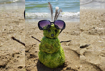 Тиновики «захватили» пляжи: почему снова цветет море в Анапе