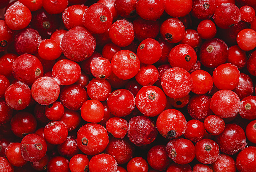 Эти продукты помогут защитить организм от заболеваний в любое время года