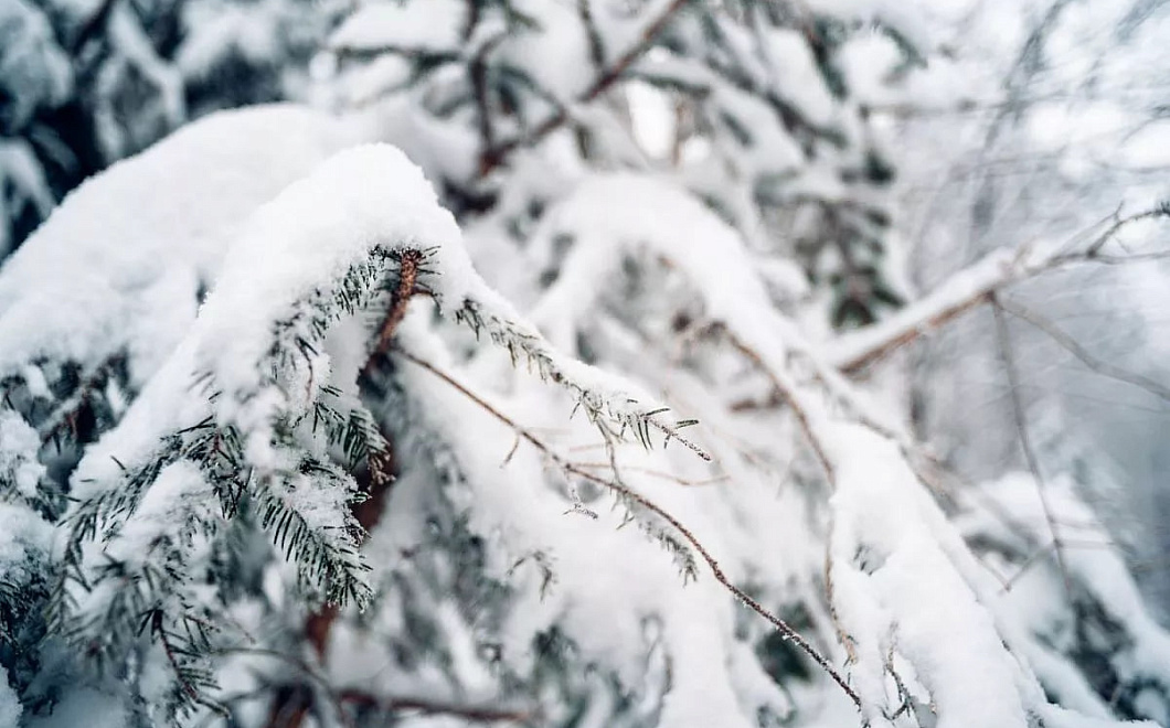 Новосибирск парализовали 10-балльные пробки из-за снегопада и гололедицы