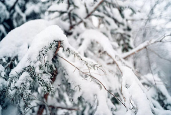 Новосибирск парализовали 10-балльные пробки из-за снегопада и гололедицы