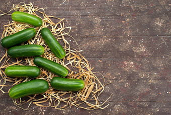 Свежесть без горечи: секреты выращивания огурцов