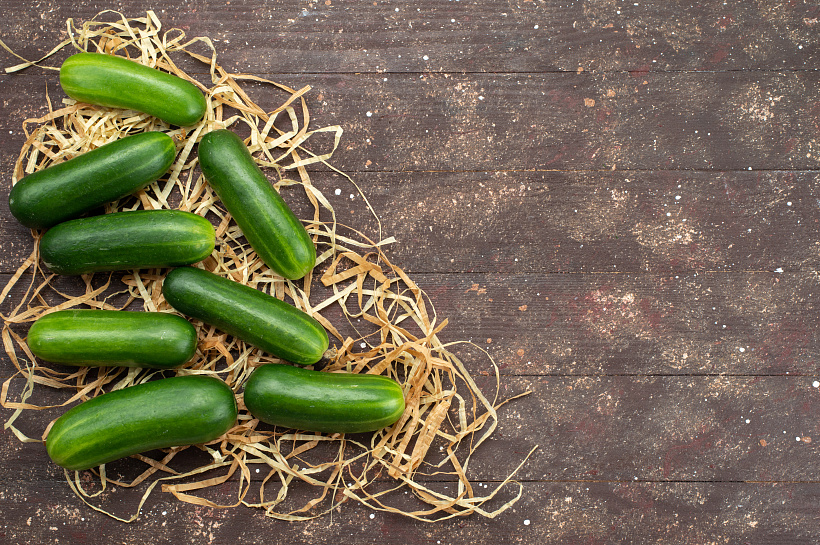 Свежесть без горечи: секреты выращивания огурцов