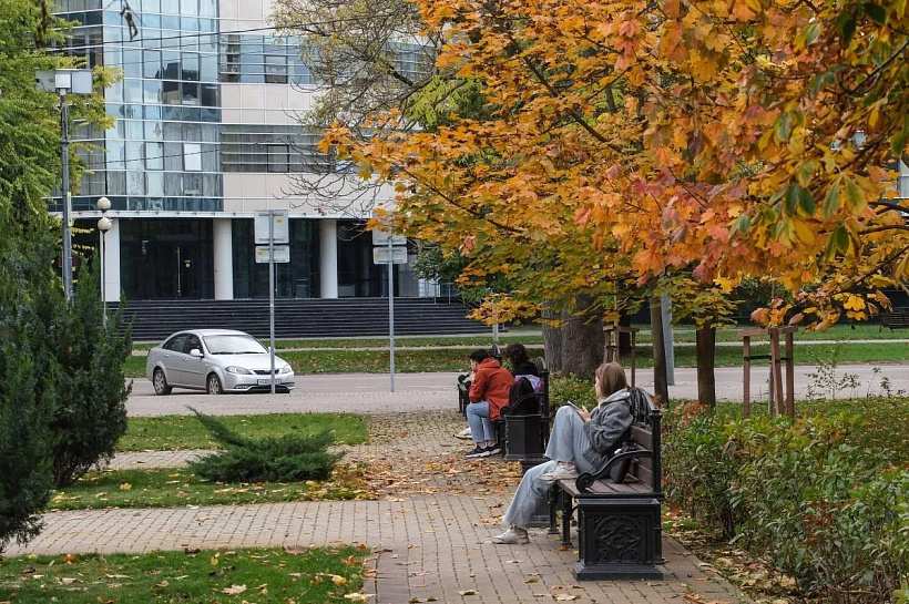 61% кубанских соискателей боятся неадекватных условий труда в 2025 году