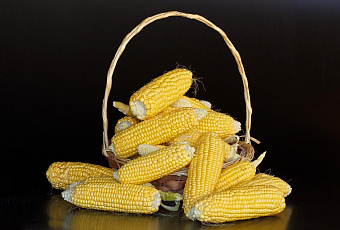 Сладкая патока: польза и вред натурального заменителя меда