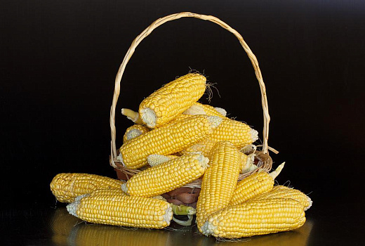 Сладкая патока: польза и вред натурального заменителя меда