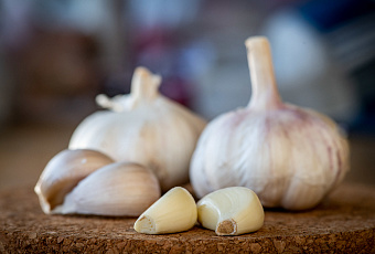 Огород под защитой: как сохранить урожай при нашествии насекомых 