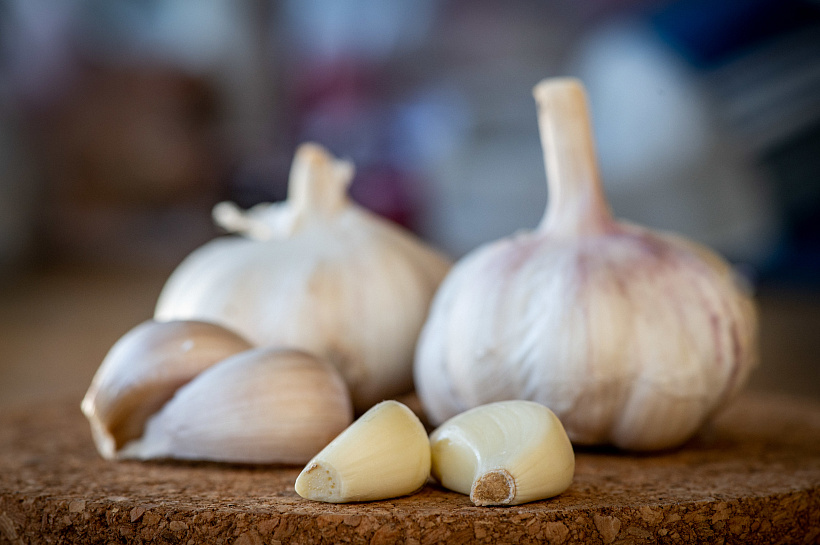 Огород под защитой: как сохранить урожай при нашествии насекомых 