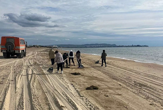 На пляжах Анапы обнаружены фракции мазута после шторма