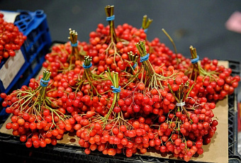 Восемь ярмарок выходного дня откроются в Краснодаре 22 ноября