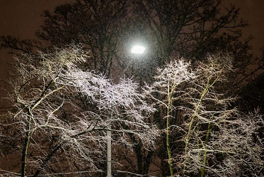 Штормовое предупреждение на Кубани продлили до конца 2025 года из-за снегопадов