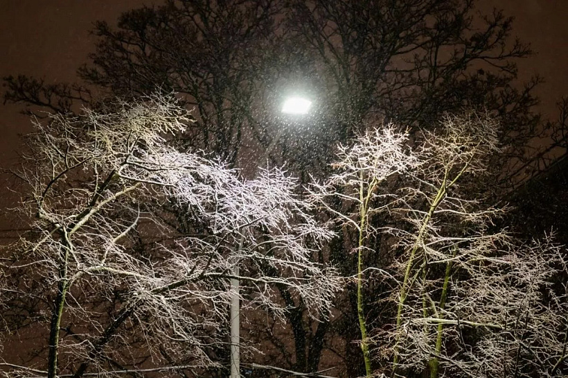 Штормовое предупреждение на Кубани продлили до конца 2025 года из-за снегопадов