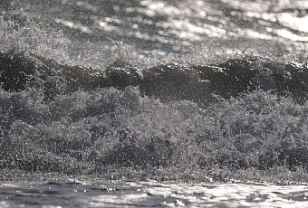 Черное и Азовское моря остыли раньше срока в Краснодарском крае