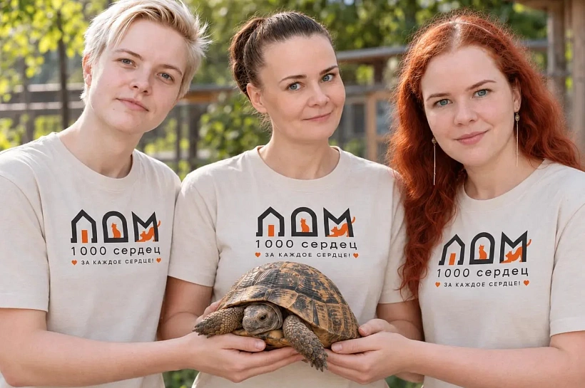 Спасти Ахиллеса и черепаху