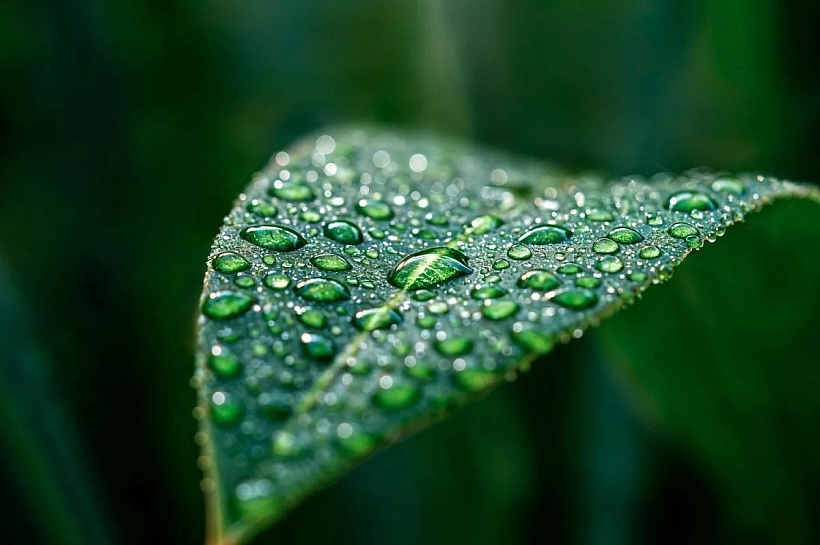 Доцент Михаил Любов спрогнозировал потепление на майские праздники