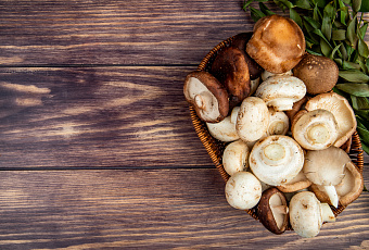 Грибная тропинка к успеху: шампиньоны можно вырастить самостоятельно