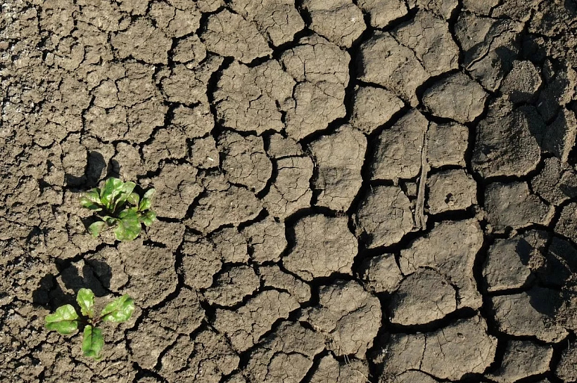 Зной, засуха и смерчи: климатологи рассказали, каким будет лето в Краснодарском крае