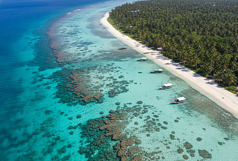 Занзибар: путеводитель по магическому острову специй и древних рифов