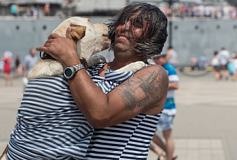 Собака для Тельца: какие домашние питомцы подходят вашему знаку Зодиака