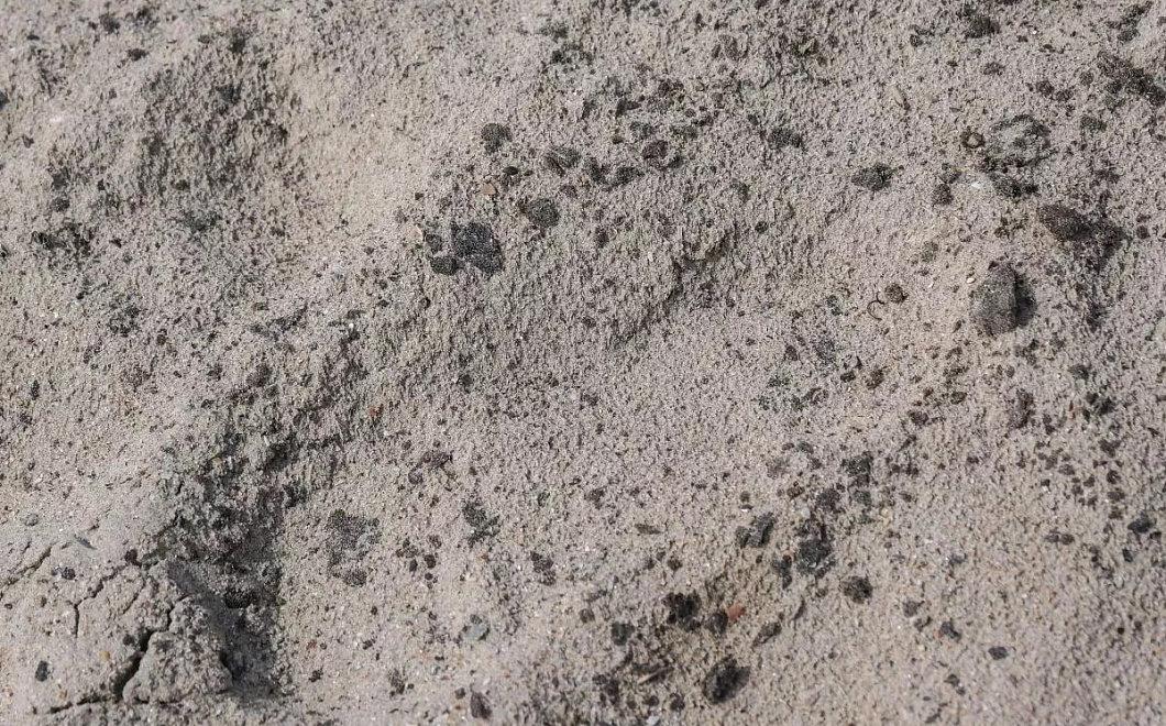 На Тамани продолжают собирать грунт, загрязненный нефтепродуктами