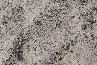 На Тамани продолжают собирать грунт, загрязненный нефтепродуктами