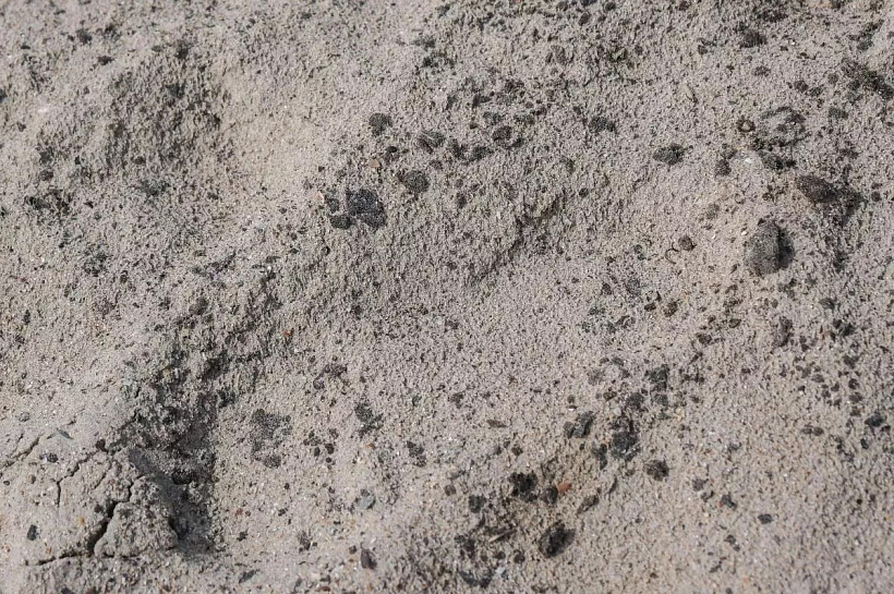 На Тамани продолжают собирать грунт, загрязненный нефтепродуктами