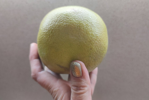 Совет диетолога: кто ест помелит, у того не болит