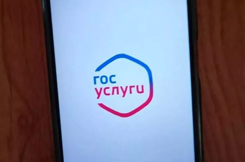 Жители Кубани подали почти 90 тысяч заявлений в колледжи через Госуслуги