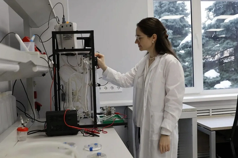 Кубанский научный фонд запустил цифровой каталог научных компетенций региона