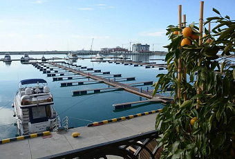 Сочи вошел в топ популярных городов для романтических путешествий на медовый месяц и годовщину свадьбы