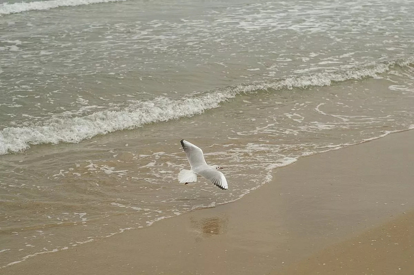 Чёрное море у берегов Сочи и Геленджика прогрелось до +13 градусов