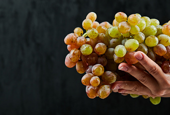 Виноградные лозы порадуют вас обильным урожаем