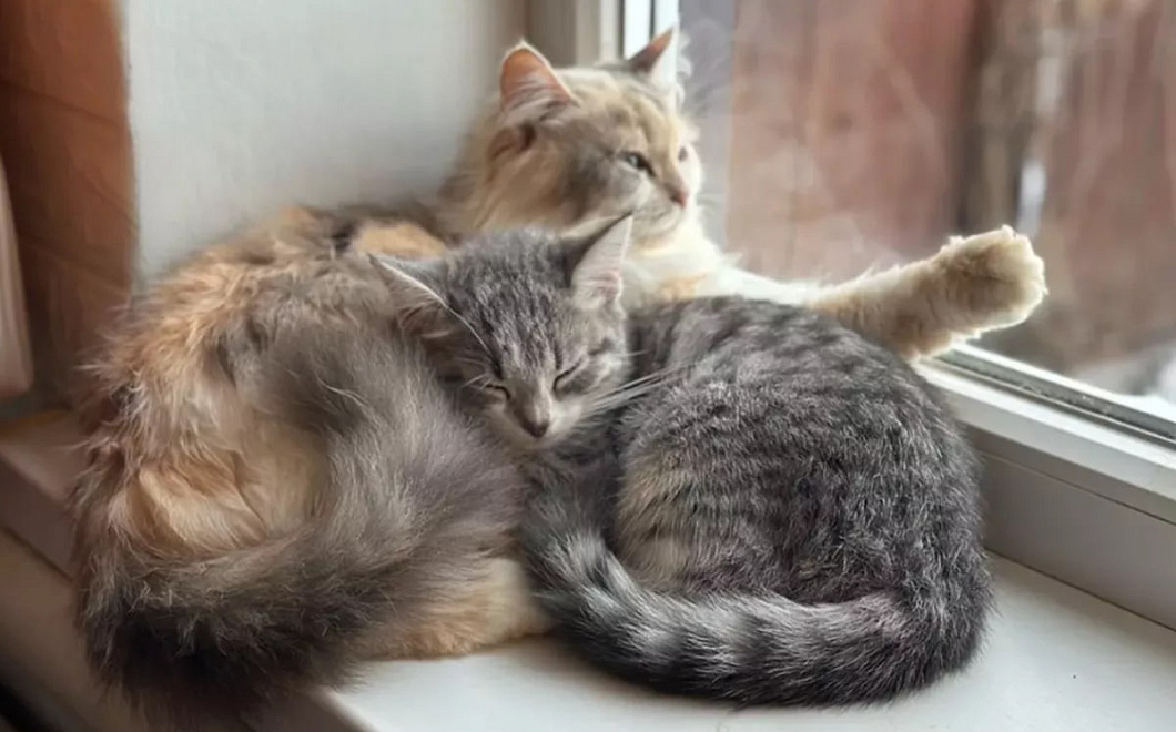 Девять домов в Краснодаре остались без отопления из-за утечки на тепломагистрали