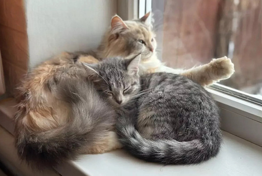 Девять домов в Краснодаре остались без отопления из-за утечки на тепломагистрали