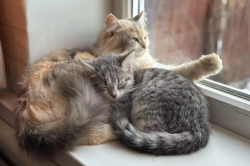 Девять домов в Краснодаре остались без отопления из-за утечки на тепломагистрали