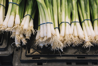 Луковый успех: его можно вырастить даже на подоконнике