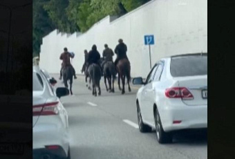 В Сочи наездники устроили скачки на лошадях по улицам города и попали на видео