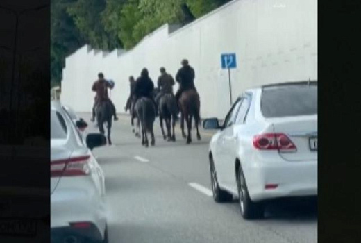 В Сочи наездники устроили скачки на лошадях по улицам города и попали на видео