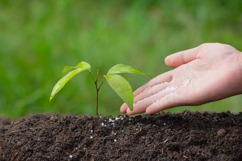 Туапсинский балкерный терминал снизил перевалку удобрений на 18,7% из-за погоды и внешних факторов