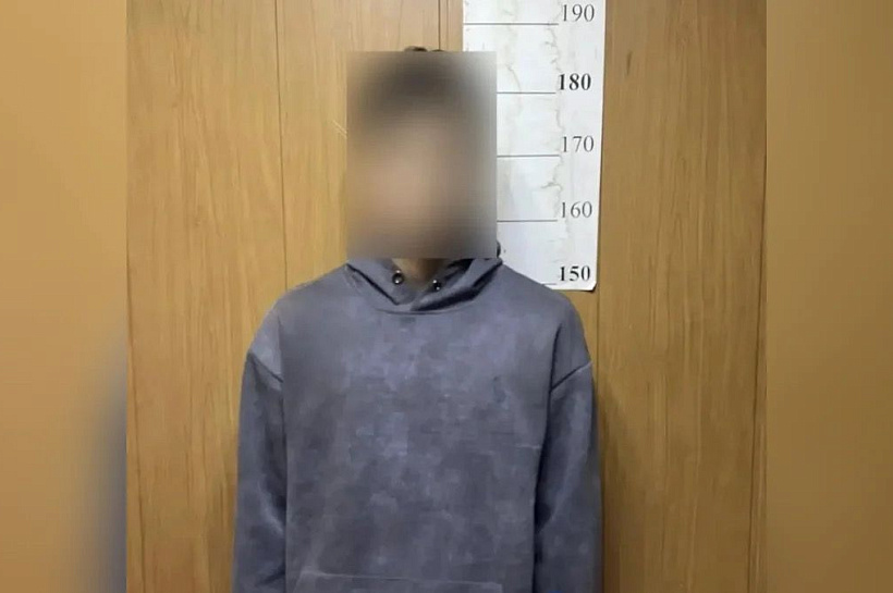 В Воронеже задержали курьера из Кубани, забравшего у пенсионерки 700 тыс. рублей