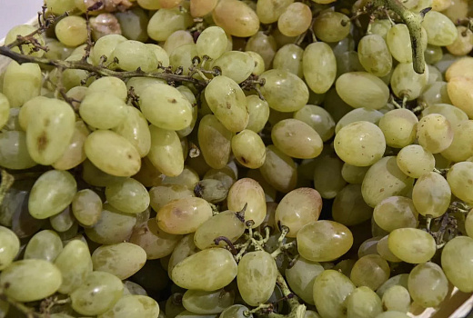  Более 20 тонн узбекского винограда забраковали в аэропорту Краснодара