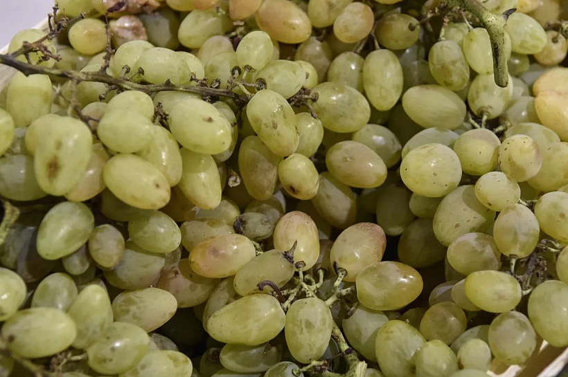  Более 20 тонн узбекского винограда забраковали в аэропорту Краснодара