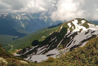 Арабские туристы открывают для себя горные курорты Сочи и Кавказа