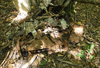 Обломки двух советских истребителей обнаружили поисковики на Кубани 