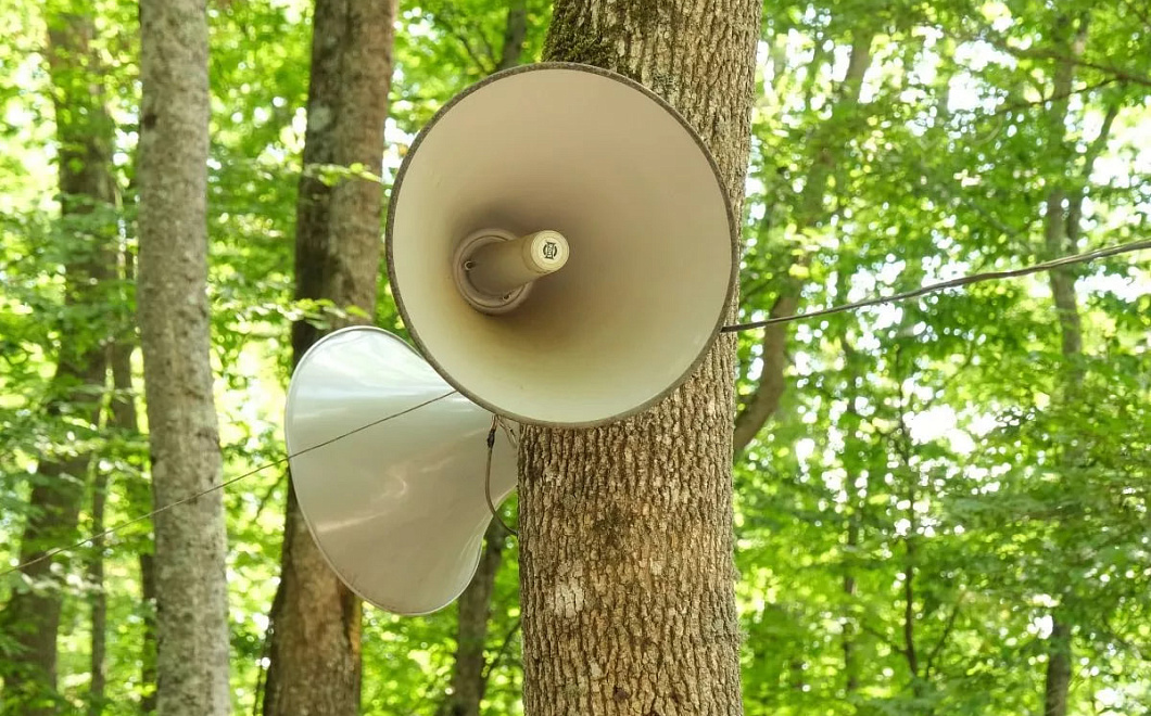 В Краснодаре 25 ноября проверят новые системы оповещения сиренами