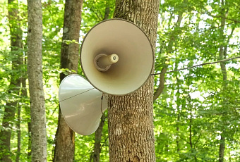 В Краснодаре 25 ноября проверят новые системы оповещения сиренами